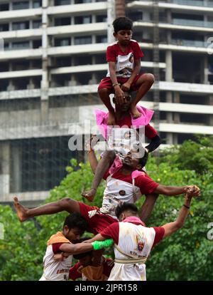 Mumbai, Indien. 19. August 2022. MUMBAI, INDIEN - 19. AUGUST: Govinda-Feiernden bilden eine menschliche Pyramide, um den irdenen Topf von Dahi Handi zu brechen, während sie das Festival „Gopalkala“ in Worli am 19. August 2022 in Mumbai, Indien, feiern. Das Dahi Handi Festival wird nach zwei Jahren ohne Covid-19-Einschränkungen gefeiert. (Foto: Anshuman Poyrekar/Hindustan Times/Sipa USA) Quelle: SIPA USA/Alamy Live News Stockfoto