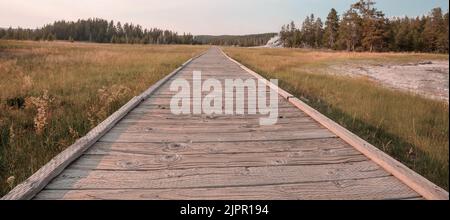 Holzstege in den geothermischen Gebieten des Yellowstone National Park, Wyoming, USA Stockfoto