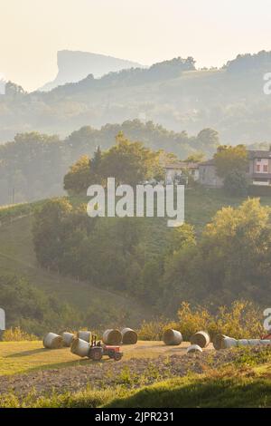 Ein Landwirt auf einem Traktor sammelt Heuballen in den Hügeln von Appennino Reggiano, mit dem Stein „Pietra di Bismantova“ im Hintergrund, Reggio Emilia, Italien. Stockfoto