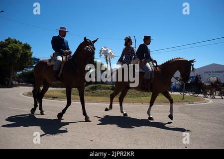 Malaga, Spanien. 19. August 2022. Eine Gruppe von Reitern wird beim Reiten gesehen, während sie an der Messe Málaga 2022 auf der Messe 'Cortijo de Torres' teilnehmen. Nach zwei Jahren Annullierung aufgrund der Coronavirus-Pandemie versammeln sich Tausende von Menschen in den Hauptstraßen der Stadt, um in festlicher Stimmung an der Messe von Malaga teilzunehmen. In einer Woche werden Tausende von Touristen und Einheimischen Konzerte, Flamenco-Tänze auf den Straßen und andere Aktivitäten wie die Stierkampfmesse oder Pferdeshows genießen. (Foto von Jesus Merida/SOPA Images/Sipa USA) Quelle: SIPA USA/Alamy Live News Stockfoto