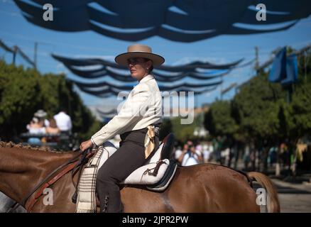 Malaga, Spanien. 19. August 2022. Ein Reiter wird auf seinem Pferd reiten gesehen, als sie an der Messe Málaga 2022 auf der Messe 'Cortijo de Torres' teilnimmt. Nach zwei Jahren Annullierung aufgrund der Coronavirus-Pandemie versammeln sich Tausende von Menschen in den Hauptstraßen der Stadt, um in festlicher Stimmung an der Messe von Malaga teilzunehmen. In einer Woche werden Tausende von Touristen und Einheimischen Konzerte, Flamenco-Tänze auf den Straßen und andere Aktivitäten wie die Stierkampfmesse oder Pferdeshows genießen. (Foto von Jesus Merida/SOPA Images/Sipa USA) Quelle: SIPA USA/Alamy Live News Stockfoto