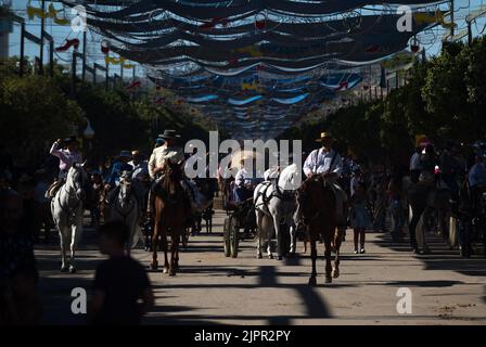 Malaga, Spanien. 19. August 2022. Eine Gruppe von Reitern wird auf Pferden gesehen, während sie an der Messe Málaga 2022 auf der Messe 'Cortijo de Torres' teilnehmen. Nach zwei Jahren Annullierung aufgrund der Coronavirus-Pandemie versammeln sich Tausende von Menschen in den Hauptstraßen der Stadt, um in festlicher Stimmung an der Messe von Malaga teilzunehmen. In einer Woche werden Tausende von Touristen und Einheimischen Konzerte, Flamenco-Tänze auf den Straßen und andere Aktivitäten wie die Stierkampfmesse oder Pferdeshows genießen. (Foto von Jesus Merida/SOPA Images/Sipa USA) Quelle: SIPA USA/Alamy Live News Stockfoto