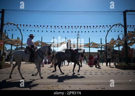 Malaga, Spanien. 19. August 2022. Eine Gruppe von Reitern wird auf Pferden gesehen, während sie an der Messe Málaga 2022 auf der Messe 'Cortijo de Torres' teilnehmen. Nach zwei Jahren Annullierung aufgrund der Coronavirus-Pandemie versammeln sich Tausende von Menschen in den Hauptstraßen der Stadt, um in festlicher Stimmung an der Messe von Malaga teilzunehmen. In einer Woche werden Tausende von Touristen und Einheimischen Konzerte, Flamenco-Tänze auf den Straßen und andere Aktivitäten wie die Stierkampfmesse oder Pferdeshows genießen. (Bild: © Jesus Merida/SOPA Images via ZUMA Press Wire) Stockfoto