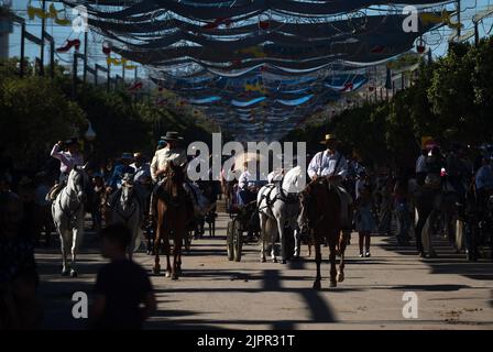 Malaga, Spanien. 19. August 2022. Eine Gruppe von Reitern wird auf Pferden gesehen, während sie an der Messe Málaga 2022 auf der Messe 'Cortijo de Torres' teilnehmen. Nach zwei Jahren Annullierung aufgrund der Coronavirus-Pandemie versammeln sich Tausende von Menschen in den Hauptstraßen der Stadt, um in festlicher Stimmung an der Messe von Malaga teilzunehmen. In einer Woche werden Tausende von Touristen und Einheimischen Konzerte, Flamenco-Tänze auf den Straßen und andere Aktivitäten wie die Stierkampfmesse oder Pferdeshows genießen. (Bild: © Jesus Merida/SOPA Images via ZUMA Press Wire) Stockfoto