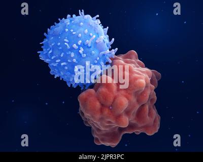 Technische T-Zellen, die eine Leukämiezelle angreifen, Illustration Stockfoto