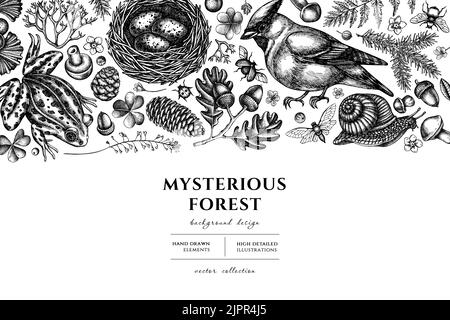 Geheimnisvoller Wald handgezeichnetes Illustrationsdesign. Hintergrund mit Skizze Wachsflügel, Schnecke, Nest, Poolfrosch, Moos, Fichtenzweig, Tannenzapfen, Insekt Stock Vektor