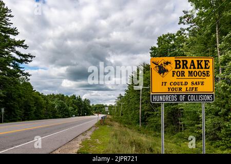 Ein Schild in New Hampshire warnt Autofahrer vor Elchen. Stockfoto