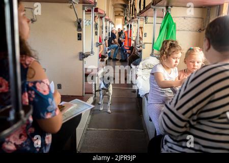 Pokrowsk, Ukraine. 04. August 2022. Ein kleiner Hund, der im Gang des Wagens gesehen wird. Evakuierungszug vom letzten Bahnhof Pokrowsk in der Region Donezk. (Foto von Mykhaylo Palinchak/SOPA Images/Sipa USA) Quelle: SIPA USA/Alamy Live News Stockfoto