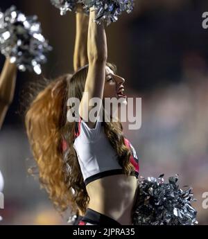 Ottawa, Kanada. 19 August 2022. Cheerleader in der Edmonton Elks in Ottawa Redblacks reguläre Saison Canadian Football (CFL) Spiel im TD Place Stadium in Ottawa gespielt. Quelle: Sean Burges/Alamy Live News Stockfoto