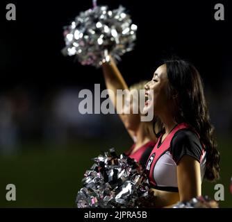 Ottawa, Kanada. 19 August 2022. Cheerleader in der Edmonton Elks in Ottawa Redblacks regulären Saison Canadian Football (CFL) Spiel im TD Place Stadium in Ottawa gespielt. Quelle: Sean Burges/Alamy Live News Stockfoto