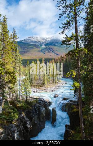 Sunwapta Falls Jasper National Park, Kanada. Die kanadischen Rockies während der Herbstsaison Stockfoto