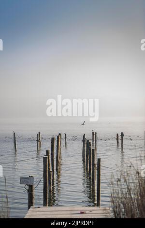 Angelsteg im Nebel, Ammersee, Deutschland Stockfoto