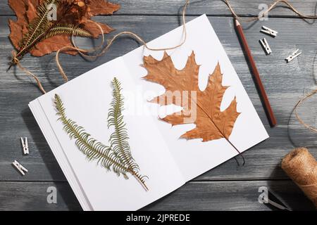 Getrocknetes gepresstes Blatt auf Papier aus Notizbuch mit Bleistift, Schere und Garn auf blauem Hintergrund. Hobby, handgemachte, florale Kunst und Boho Style Konzept Stockfoto