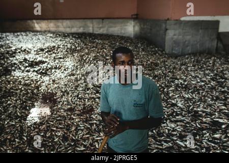 Arbeiter vor einem Berg von Sardinen vor der Verarbeitung in der Turkish Atlantic Proteine Factory, Nouadhibou, Mauretanien Stockfoto