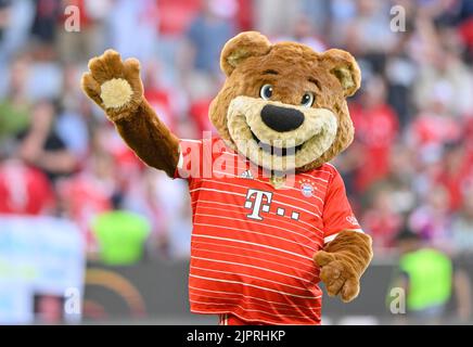 MASCOT Berni FC Bayern München FCB, in neuen Trikotgesten, Allianz Arena, München, Bayern, Deutschland Stockfoto