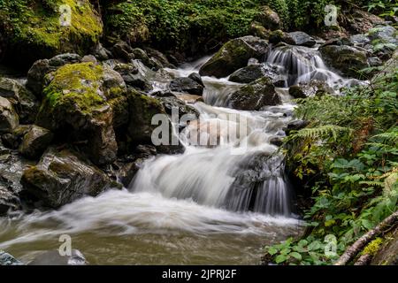 Kaskaden am Wasserfall im Breuergraben entlang der Schwarzache, Scheffau am Wilden Kaiser, Tirol, Kufstein, Wilder Kaiser, Österreich Stockfoto