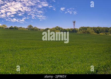 Eine malerische Aussicht auf einen Telekommunikationsturm in einem grünen Feld Stockfoto