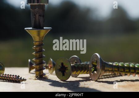 Schrauben mit einem Schraubendreher, der auf der Oberfläche in Nahaufnahme verteilt ist Stockfoto