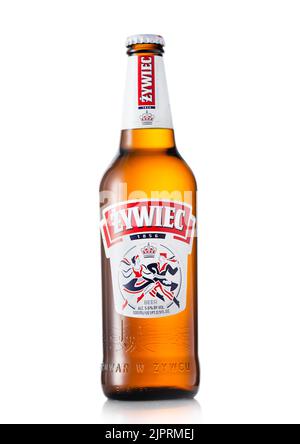 LONDON, Großbritannien - 22. JUNI 2022: Flasche Zywiec Lagerbier auf Weiß. Stockfoto