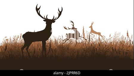 Hirsch Silhouette in der Wiese. Vektorgrafik Stock Vektor
