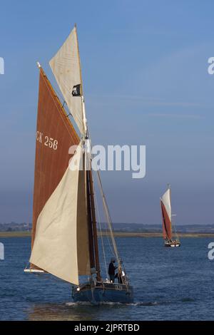 Die Segeltörn smack Hyazinth, CK256, in fullsail auf der Blackiwater Estaury Essex. Stockfoto