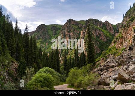 Felsige Berge und Tannen in der Nähe der Stadt Almaty, Kasachstan. Stockfoto