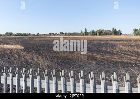 Auf der Lambs Lane South in Rainham, London, brach ein Grasbrand aus. Zehn Feuerwehrfahrzeuge und rund 70 Feuerwehrleute nahmen das Feuer in Angriff. Das Vereinigte Königreich ist hoch Stockfoto