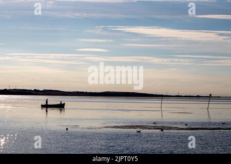 Paar auf dem Boot Silhouette. Möwen im Vordergrund. Leichte Wolken im Hintergrund. Landschaftsfotografie. Stockfoto