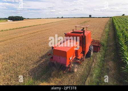 Arbeitskonzept mit blauem Kragen. Stolzer Mähdrescher-Fahrer, der sein Feld mit seiner roten Mähdreschermaschine erntet. Drohnenperspektive. Hochwertige Fotos Stockfoto