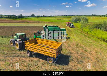 Drei landwirtschaftliche Maschinen arbeiten auf dem Feld. Trockenheitskonzept. Sommerliche Ernte. Luftaufnahme, schönes Wetter. Hochwertige Fotos Stockfoto