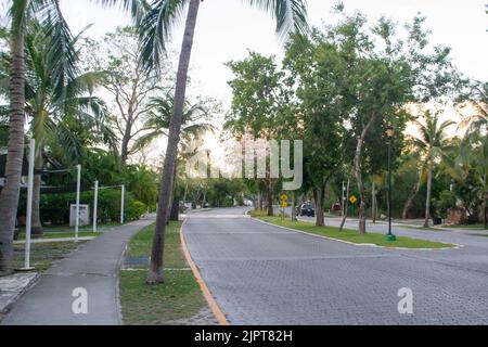 PLAYA DEL CARMEN, MEXIKO - 21. April 2022: Straße in Playa del Carmen Mexiko Stockfoto