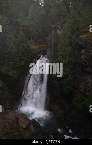 Vancouver Island - Strathcona Provincial Park - Lady Falls - Kanada / Vancouver Island - Strathcona Provincial Park - Lady Falls - Kanada / Stockfoto