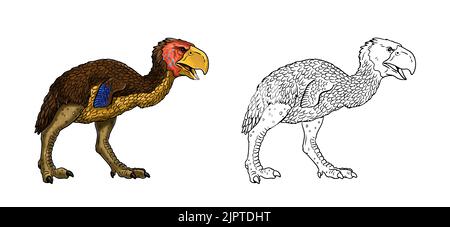 Prähistorische Raubvögel - gastornis. Zeichnung mit ausgestorbenen Raubtieren Terrorvögel. Malbuch. Stockfoto