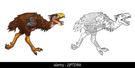 Prähistorische Raubvögel - Titanis. Zeichnung mit ausgestorbenen Raubtieren Terrorvögel. Malbuch. Stockfoto
