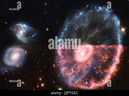 Die Cartwheel Galaxy ist großartig zu sehen. Die obere Hälfte dieses Bildes zeigt die Galaxie, wie sie vom NASA-Weltraumteleskop Hubble im sichtbaren Licht gesehen wird, während die untere Hälfte dieses Bildes die Infrarotansicht des James Webb Weltraumteleskops zeigt. Hubble und Webb werden weiterhin zusammenarbeiten, um komplementäre Ansichten des Universums zu liefern. Zusammen zeigen die geteilten Ansichten eine große Galaxie auf der rechten Seite und zwei viel kleinere Spiralgalaxien auf der linken Seite, eine übereinander. Die obere Hälfte des Bildes ist als Hubbles-Ansicht gekennzeichnet und zeigt die obere Hälfte der großen Galaxie und eine der kleinen Galaxien Stockfoto