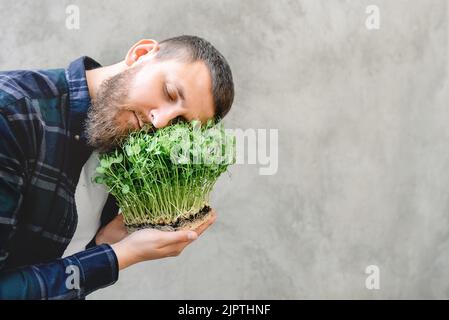 Der Mann ruhte seinen Kopf auf einem Mikrokraut aus Erbsen als Kissen in den Händen vor dem Hintergrund einer Betonwand. Kerl mit Bart im Hemd. Samen zu Hause keimen oder Gemüse für eine gesunde Ernährung kaufen. Pflanzenfutter Stockfoto