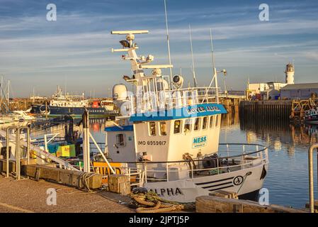 Ein Wachboot im Hafen, das mit Antennen und Radar bristillt, wird in einem Abendlicht gefangen. Ein Leuchtturm ist dahinter und ein Himmel mit Wolken ist oben. Stockfoto