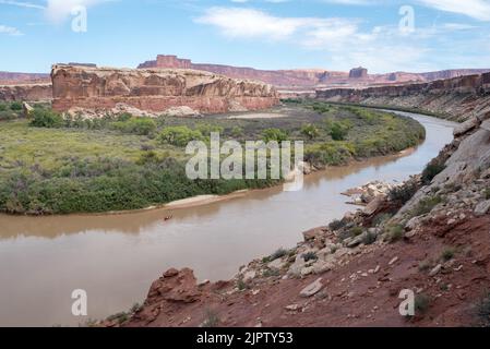 Kanufahren auf dem Green River bei Unknown Bottom, Canyonlands National Park, Utah. Stockfoto