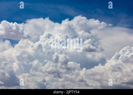 Nahaufnahme der Billowy Cumulus Wolken. Wispy Wolken, tiefblauer Himmel im Hintergrund. Stockfoto