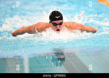 Sydney, Australien. 20. August 2022. Trenton Julian vom United States Swimming Team tritt beim Duell im Pool des Sydney Olympic Park Aquatic Centre 2022 im 100 Meter LC Butterfly der Männer an. Trenton Julian platzierte sich bei diesem Event auf dem vierten Platz. Kredit: SOPA Images Limited/Alamy Live Nachrichten Stockfoto