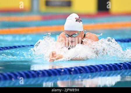 Sydney, Australien. 20. August 2022. Das Team von Chelsea Hodges of Australia Swimming tritt beim Duell im Pool 2022 im Sydney Olympic Park Aquatic Centre in den 3x50 LC Meter Breasttroke Skins der Frauen an. Chelsea Hodges hat dieses Event gewonnen. Kredit: SOPA Images Limited/Alamy Live Nachrichten Stockfoto