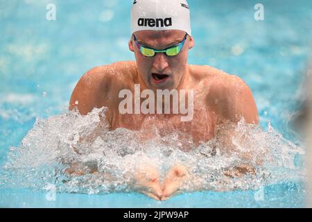 Sydney, Australien. 20. August 2022. Sam Williamson vom Australischen Schwimmteam tritt beim 100 Meter LC Breastroke der Männer beim Duell im Pool 2022 im Sydney Olympic Park Aquatic Centre an. Sam Williamson wurde Zweiter in diesem Event. (Foto von Luis Veniegra/SOPA Images/Sipa USA) Quelle: SIPA USA/Alamy Live News Stockfoto