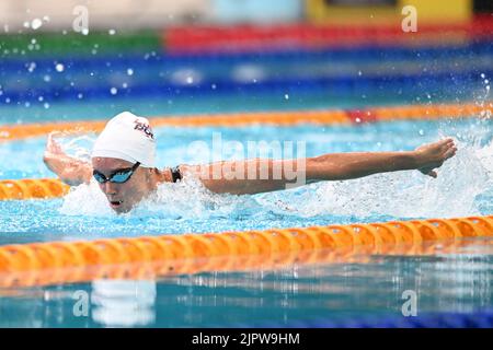Sydney, Australien. 20. August 2022. Emma McKeon vom australischen Schwimmteam tritt beim Duell im Pool des Sydney Olympic Park Aquatic Centre 2022 in den 3 x 50m Schmetterlingsfinnen der Frauen an. Emma McKeon gewann die Veranstaltung. (Foto von Luis Veniegra/SOPA Images/Sipa USA) Quelle: SIPA USA/Alamy Live News Stockfoto