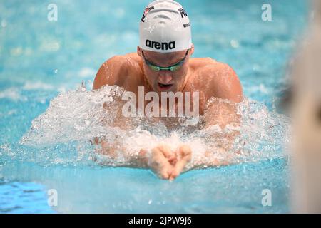 Sydney, Australien. 20. August 2022. Sam Williamson vom Australischen Schwimmteam tritt beim 100 Meter LC Breastroke der Männer beim Duell im Pool 2022 im Sydney Olympic Park Aquatic Centre an. Sam Williamson wurde Zweiter in diesem Event. (Foto von Luis Veniegra/SOPA Images/Sipa USA) Quelle: SIPA USA/Alamy Live News Stockfoto