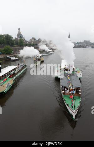 Dresden, Deutschland. 20. August 2022. Die historischen Dampfschiffe der Sächsischen Dampfschiffahrt starten an der Elbe zur Dampfschiffparade. Anlass ist das Steamboat Festival, das parallel zum Dresdner Stadtfest Canaletto vom 19. Bis 21. August 2022 stattfindet. Quelle: Sebastian Kahnert/dpa/Alamy Live News Stockfoto