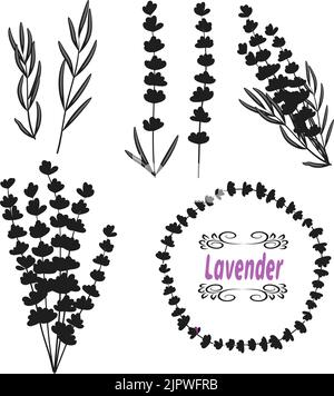 Set Lavendel. Handgezogener Bund aus Lavendel, Lavendelblüten und Blättern getrennt. Schwarze Silhouetten isoliert auf Weiß. Vektorgrafik Stock Vektor