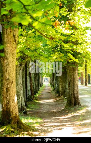 Bilder aus Bosna und der Herzegowina während der Sommerreise 2022 Stockfoto