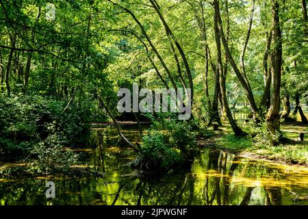 Bilder aus Bosna und der Herzegowina während der Sommerreise 2022 Stockfoto