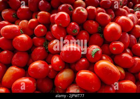 Tomaten in Haufen. Nahaufnahme von frischen Tomaten auf einem Bauernmarkt. Selektiver Fokus. Stockfoto