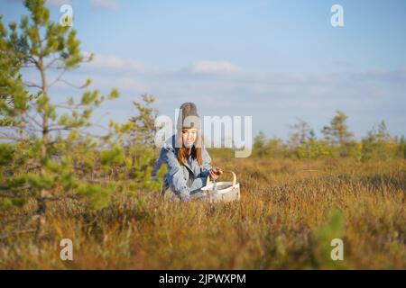 Stilvolle junge Frau in Hipster Hut und Mantel sammelt Preiselbeeren im Wiesengras Stockfoto